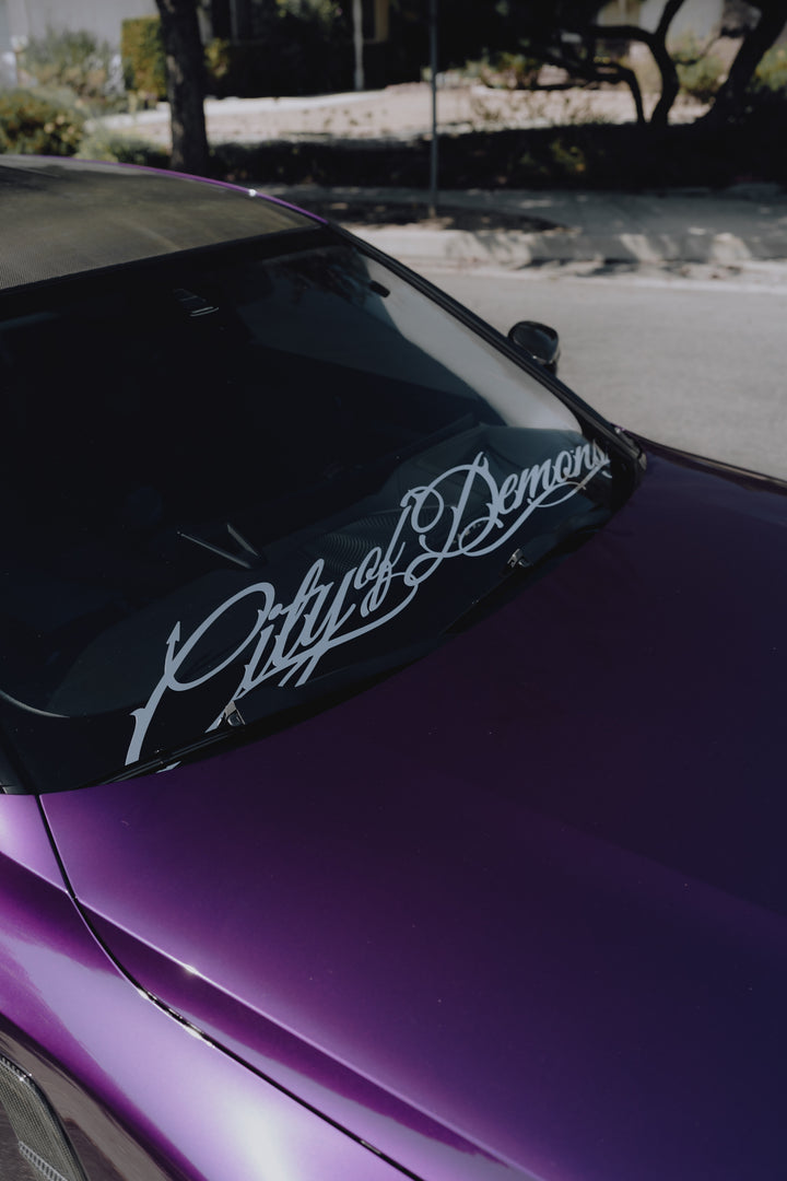 SCRIPT BANNER