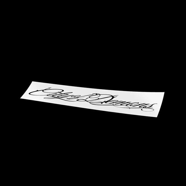 SCRIPT BANNER